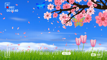 recording beautiful blue sky and butterflies on pink flower tree in camera illustration