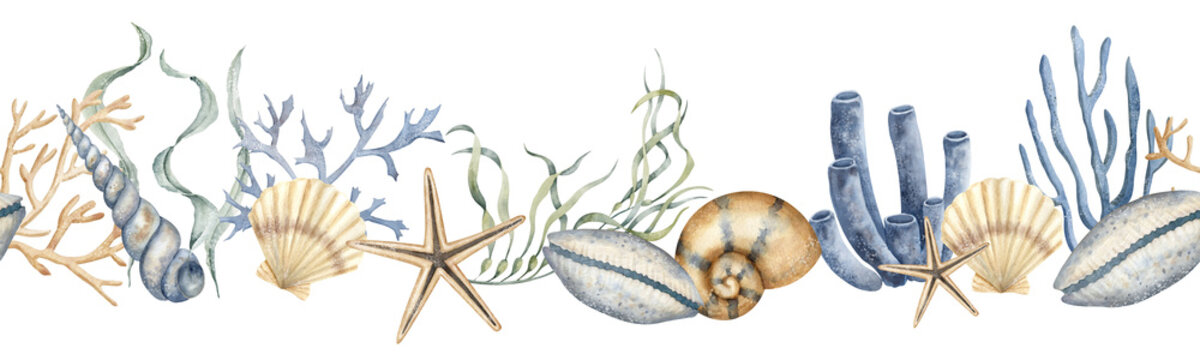Seabed seamless Pattern. Hand drawn watercolor illustration of undersea pattern with corals, seaweeds and corals on white isolated background. Drawing of underwater frame for banner in nautical style.