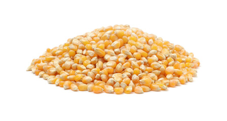 Corn kernels isolated on white.