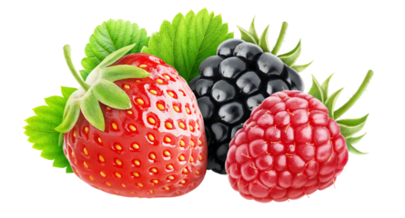 Fresh berries (strawberry, blackberry, raspberry) cut out