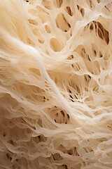Mushroom mycelium. Macro shot in high detail. Generative Ai