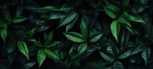 Closeup green leaves background, Overlay fresh leaf pattern, Natural foliage textured and background. Created with Generative AI technology.