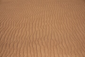 sand background