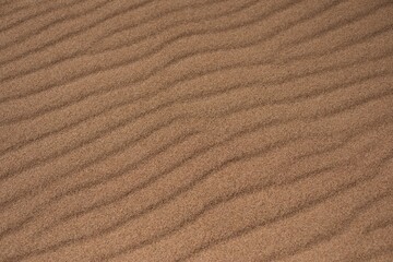 texture of sand