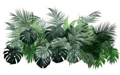Tropical leaves foliage plant jungle bush floral arrangement nature backdrop isolated on white background, Generative AI