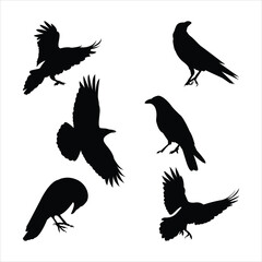 Collection of Crow silhouettes