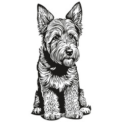 Airedale Terrier dog vector face drawing portrait, sketch vintage style transparent background sketch drawing