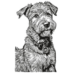 Lakeland Terrier dog engraved vector portrait, face cartoon vintage drawing in black and white realistic breed pet