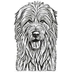 Old English Sheepdog dog engraved vector portrait, face cartoon vintage drawing in black and white