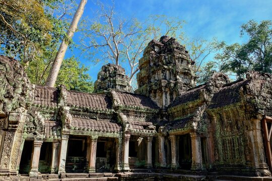 Photo of the crumbling ruins of the famous Khmer temple of Ta Prohm, a prominent tourist attraction in Cambodia.