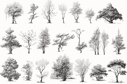 set of trees