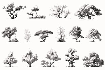 collection of trees set of trees vector