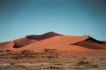 Fototapeta na wymiar Dunes