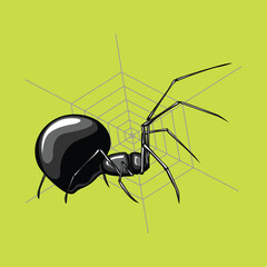 handdrawn spider halloween