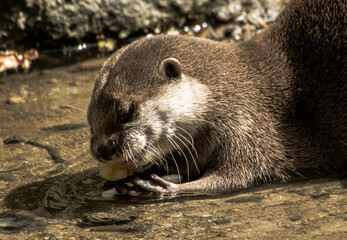 Munching on some fish