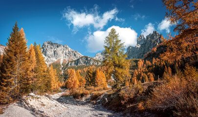 Fototapeta na wymiar Seasonal autumnal scenery in highlands. Alpine landscape