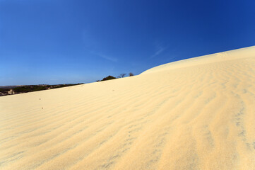 Beautiful Landscape Desert, White Sand Dunes of Mui Ne, Vietnam