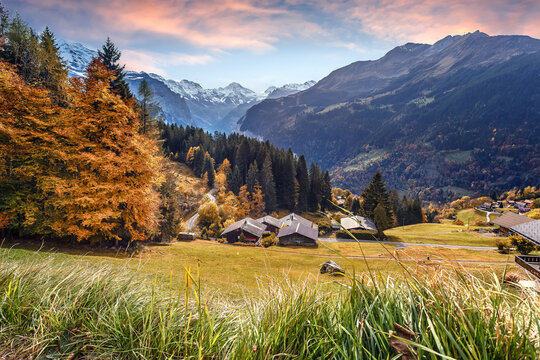 Incredible autumn landscape of Swiss Alps. Wengen popular touristic village over the Lauterbrunnen valley, Switzerland. Europe. Concept of an ideal resting place. Creative image.