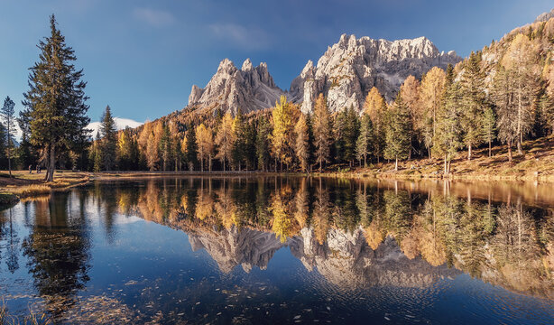 Incredible autumn scenery with reflections. Amazing autumn landscape in the mountains with yellow larches and lake glowing by sun and high mountain peaks behind. Antorno lake. Picture of Wild area.