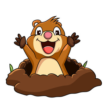 Happy beaver coming out of soil cartoon vector illustration , cute otter , muskrat or mink digging soil cartoon mascot vector image