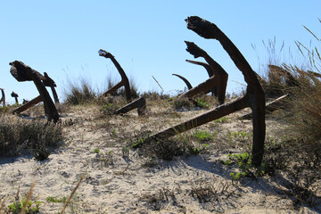 Fototapeta premium The Cemetery of Anchors in Tavira Island