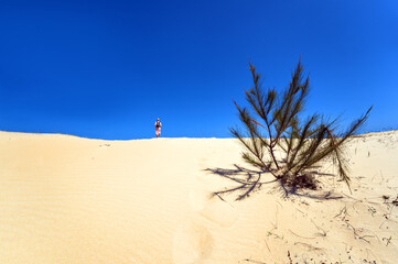 Plants growing on White Sand Dunes of Mui Ne, Vietnam