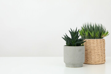 Two plant pots on table with space for text