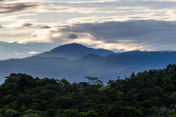 Rainforest at Manuel Antonio Costa Rica