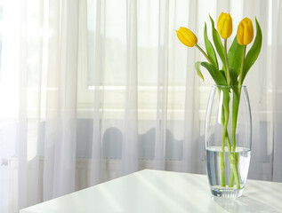 Tulips in a vase on the table near the window