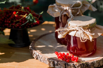 Homemade healthy jelly, red currant jam on the background of a currant bush. Preparation of cans. Sweets. Conservation and summer harvest.