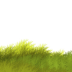 Fototapeta premium Grass leaves illustration.green grass.