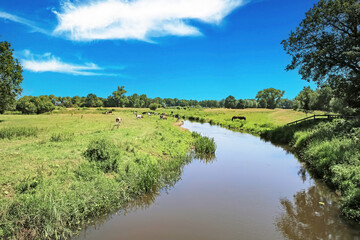 Beautiful dutch rural natural Aa river valley (Beekdal) landscape along cycling trail - North Brabant, Netherlands between Berlicum and Middelrode