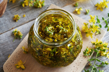 Fresh St. John's wort blossoms macerating in oil to prepare herbal oil