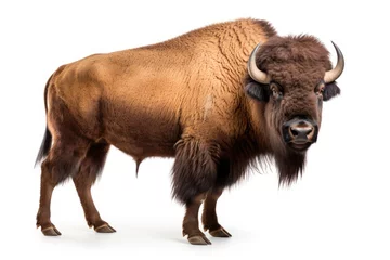 Foto op Canvas a bison is standing in front of a white background © Ismail