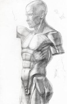 educational hand-drawn drawings of cast of male body on white paper drawn with graphite pencil