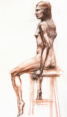 Fototapeta na wymiar study hand-drawn drawing of sitting nude woman drawn with with sepia and sanguine on white paper