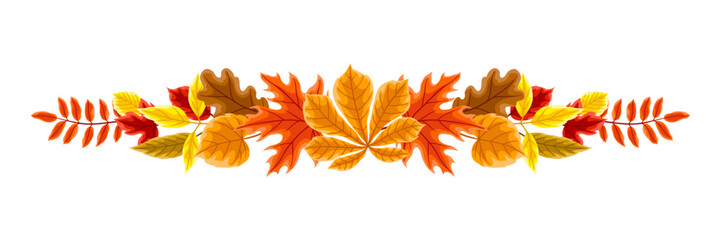 Naklejka na ściany i meble Background with autumn leaves. Illustration with various foliage.