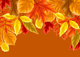 Naklejka na ściany i meble Background with autumn leaves. Illustration with various foliage.