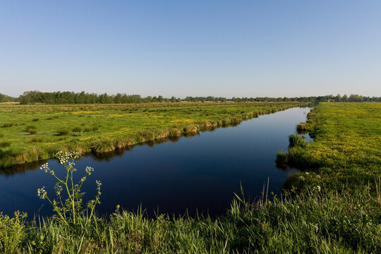 Sloot in Rottige Meente, Ditch at Rottige Meente