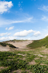 Landscape at the Noordduinen