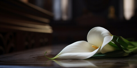 Generative AI, white flowers on the lid of the coffin, ceremony, funeral, ritual, farewell to the deceased, black background, calla lilies, floristic composition, funeral service - obrazy, fototapety, plakaty