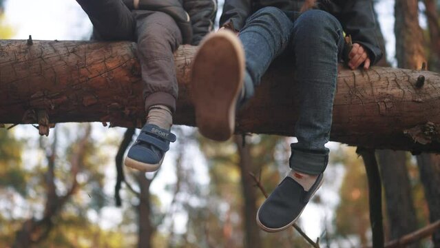 children sitting on a tree in the park. happy family childhood dream concept. children dangle their legs while sitting resting on a fallen tree trunk in the forest in lifestyle the park