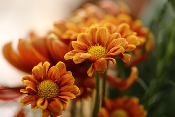 Uma mesa decorada com criatividade, utilizando flores e frutos na cor laranja, em um evento caprichado.