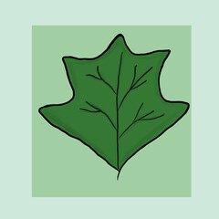 green leaf vector