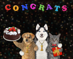 Two dogs and gray cat with cake 2