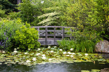 japanese garden pond with bridge