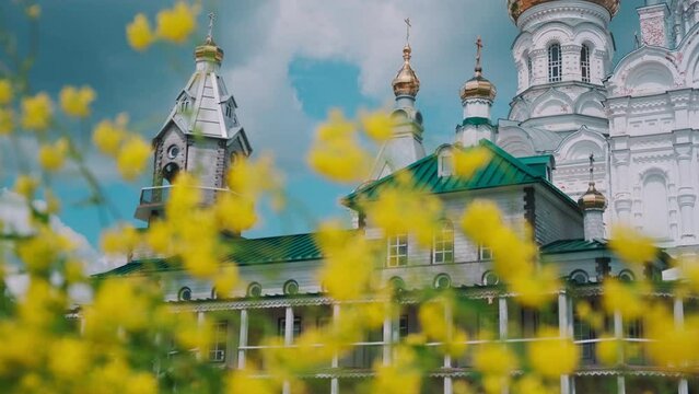Yellow flowers on background of beautiful church in summer. Clip. Close-up of flowers on background of white church or monastery. Beautiful landscape of yellow wildflowers on background of church on