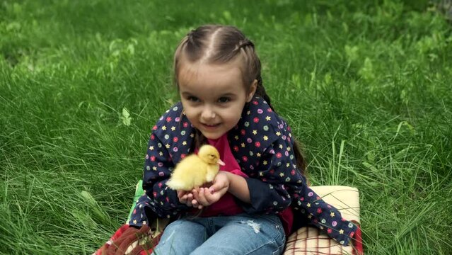 Little girl holding a small yellow duckling in her hands and kissing.