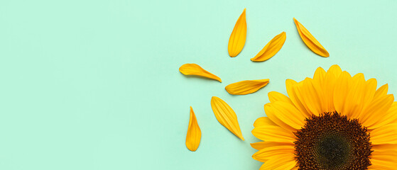 Beautiful sunflower and petals on turquoise background with space for text © Pixel-Shot