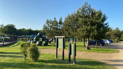 playground in the park